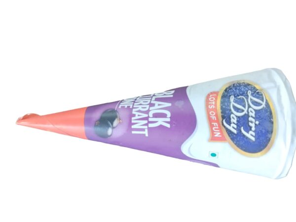 Dairy Day Ice Cream – Senior Black Currant Cone ₹40