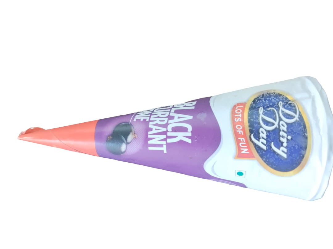 Dairy Day Ice Cream – Senior Black Currant Cone ₹40