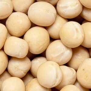 Kaanja Pattani (Dried White Peas)