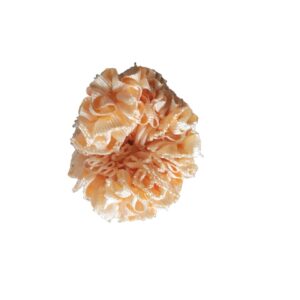 Hair Band – ₹5 Pack