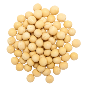 Kaanja Pattani (Dried White Peas)