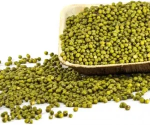 Pachai Payir (Whole Green Gram / Moong Dal)